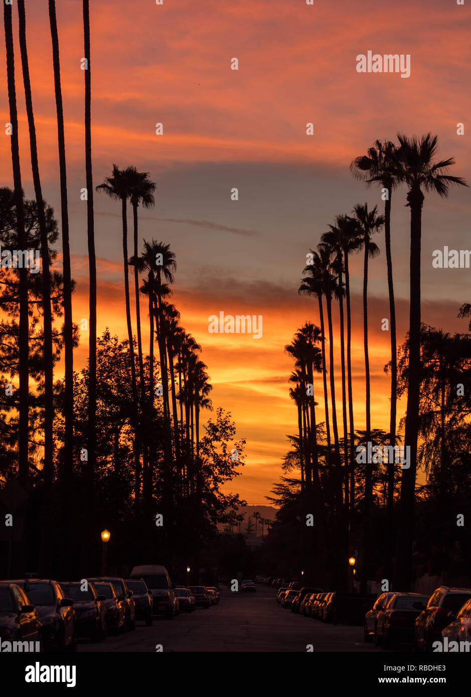 Coucher Du Soleil Orange Bordee De Palmiers Photo Stock Alamy