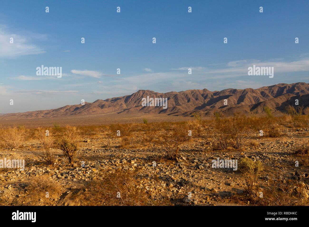Vue générale du paysage aride dans le parc national de Joshua Tree, California, United States. Banque D'Images