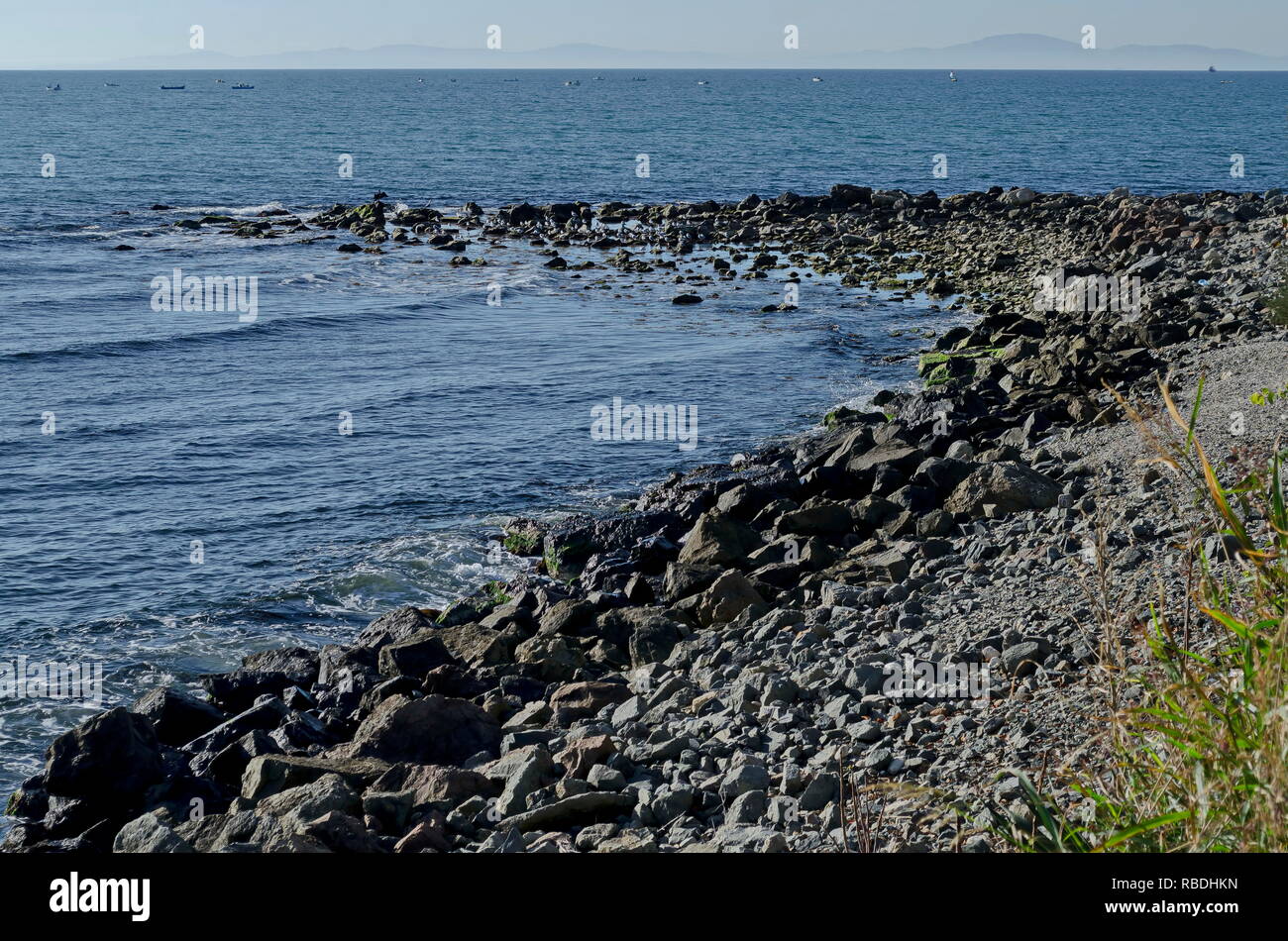 Seascape de bateaux de pêche dans le brouillard matin Mer Noire et d'argent ou de mouettes troupeau Larus argentatus vous détendre sur la côte près de l'ancienne ville de Nessebar, Bulgari Banque D'Images