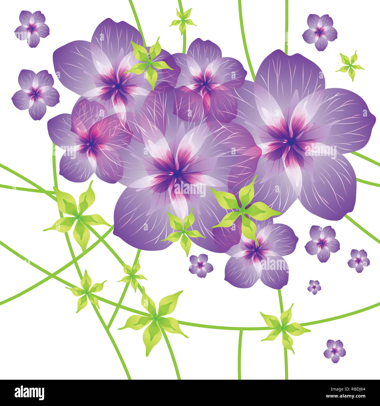 Modèle transparent avec des fleurs Banque D'Images