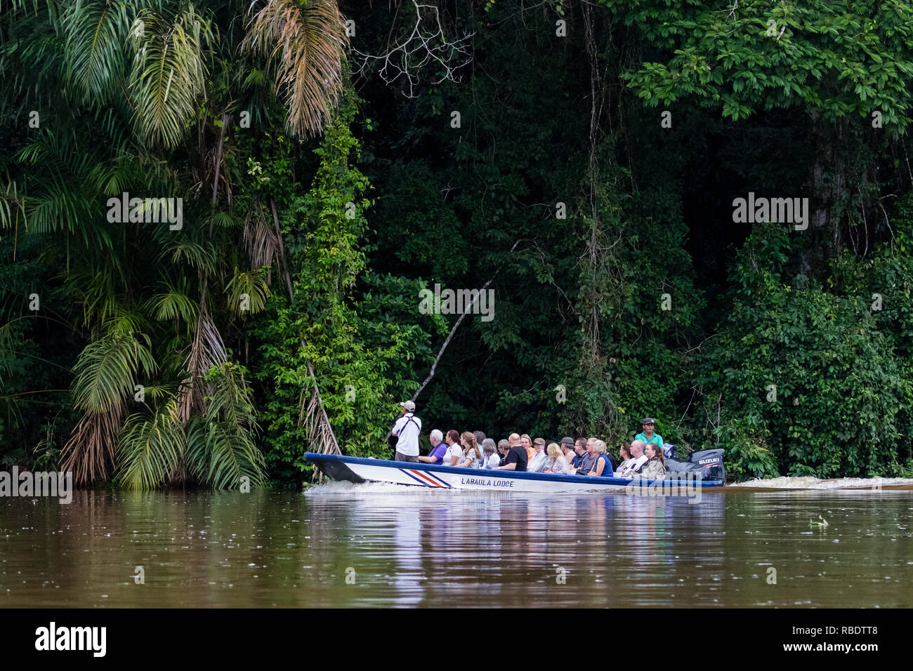 River safari, Parc National de Tortuguero, Costa Rica Banque D'Images