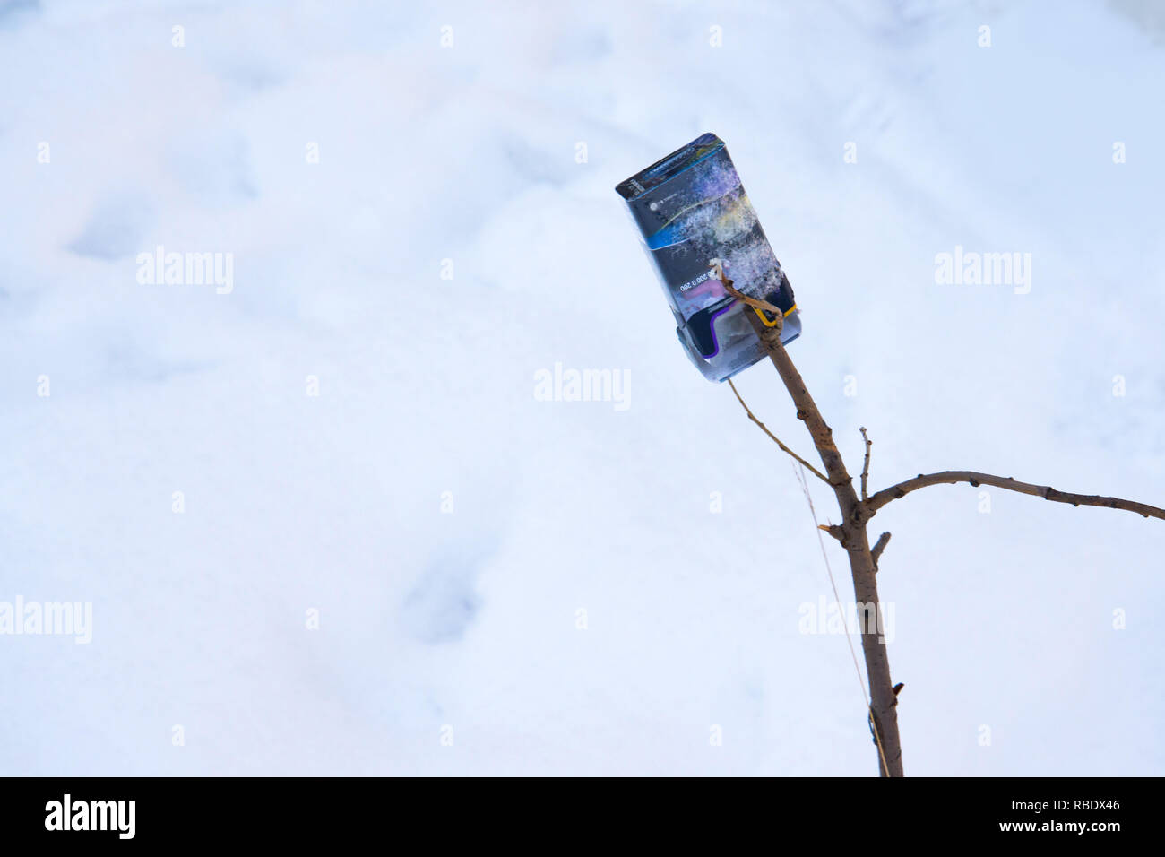 La Russie, l'Ural - décembre 2018, une boîte vide avec des cigarettes se trouve dans les buissons, une sorte de la pollution de l'environnement. Déchets, ordures, déchets Banque D'Images