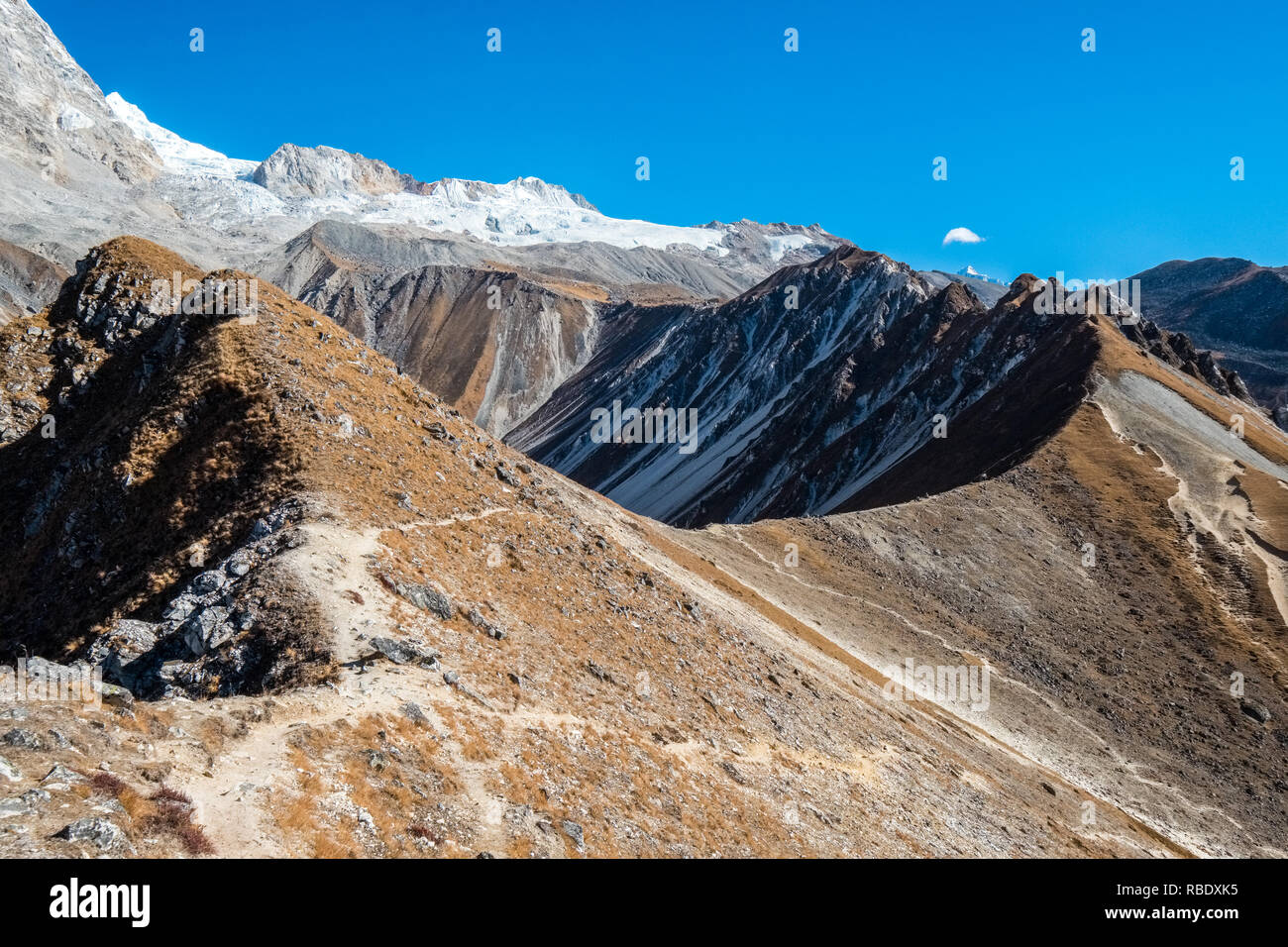Vue depuis Kyanjin Ri, un célèbre point de vue sur la vallée de Langtang trek dans l'Himalaya au Népal Banque D'Images
