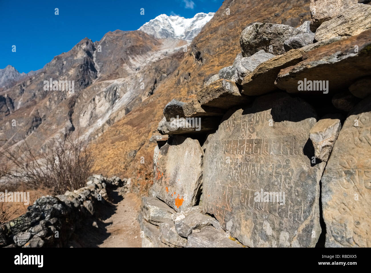 Un mur mani bouddhique avec inscriptions sur la vallée de Langtang Trek, au Népal Himalaya Banque D'Images