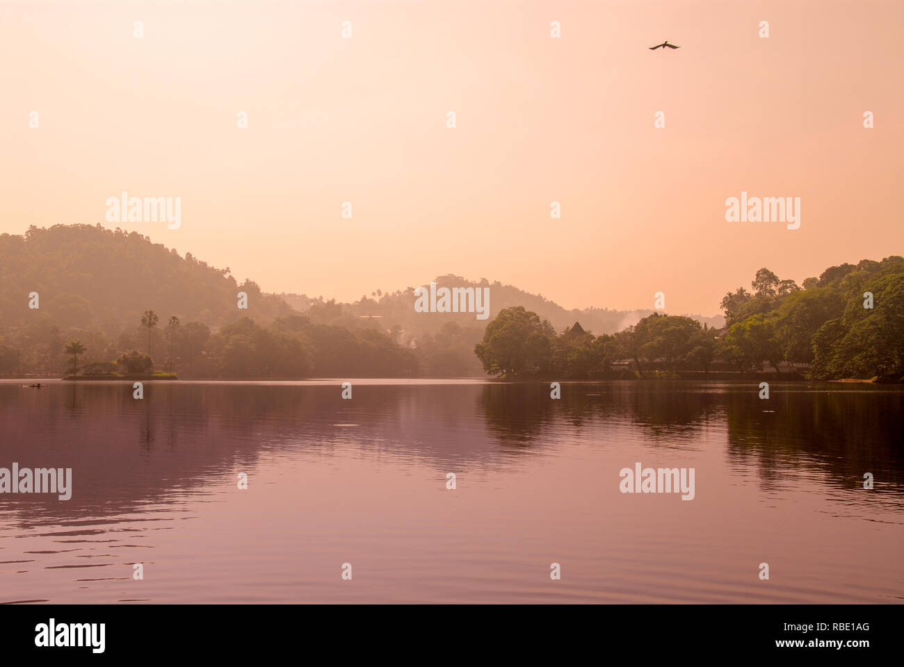 Lac du temple de Kandy au Sri Lanka Banque D'Images