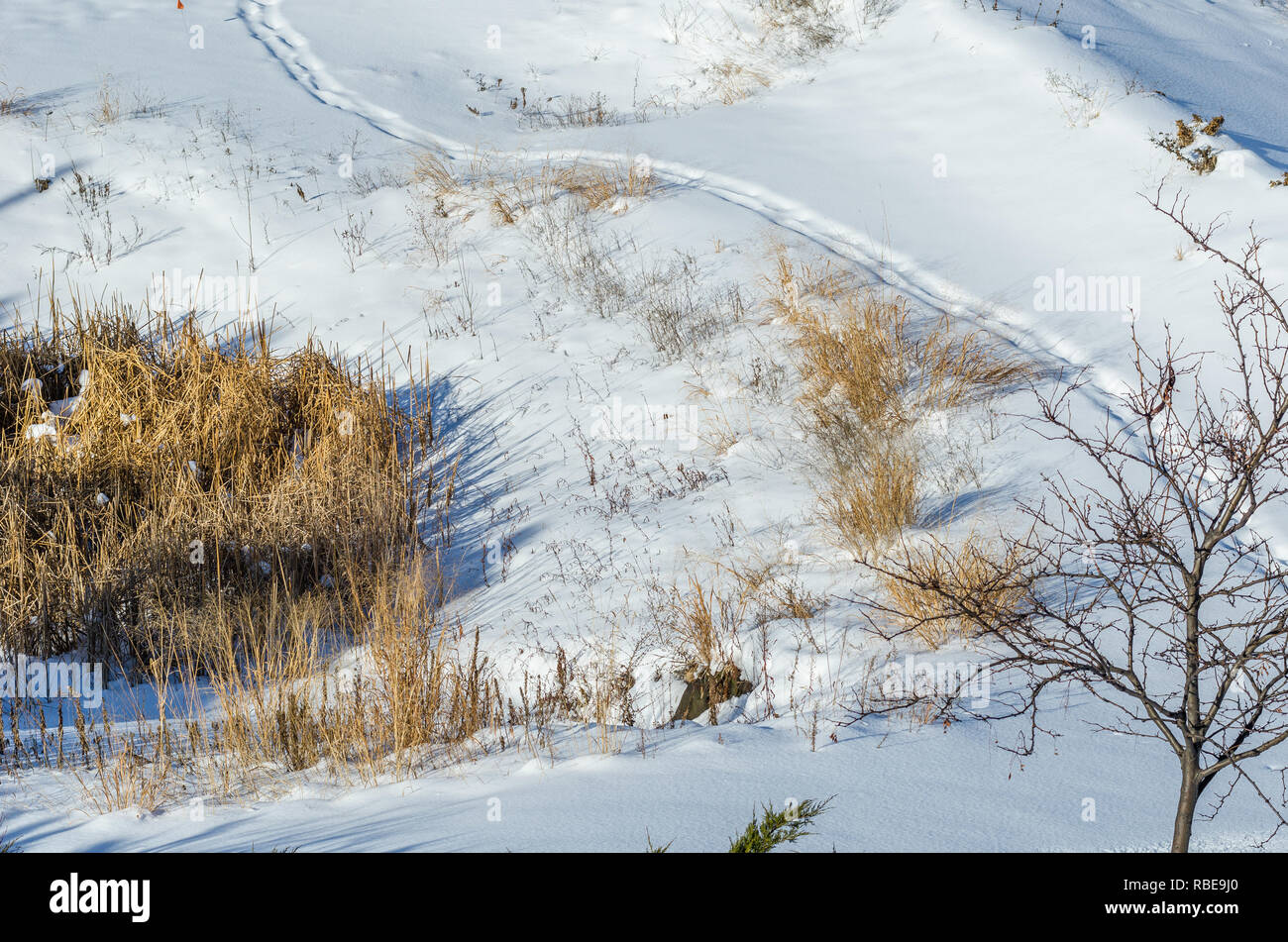 L'herbe d'hiver et la neige vue aérienne Banque D'Images