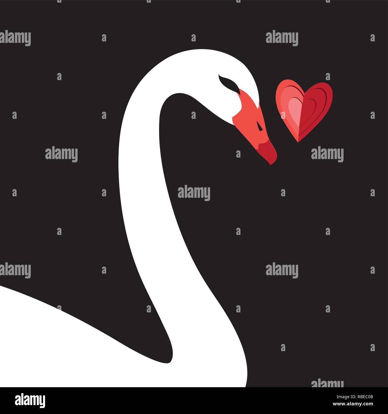 Carte de souhaits St-valentin lumineux avec cygne blanc et coeur sur fond noir Illustration de Vecteur