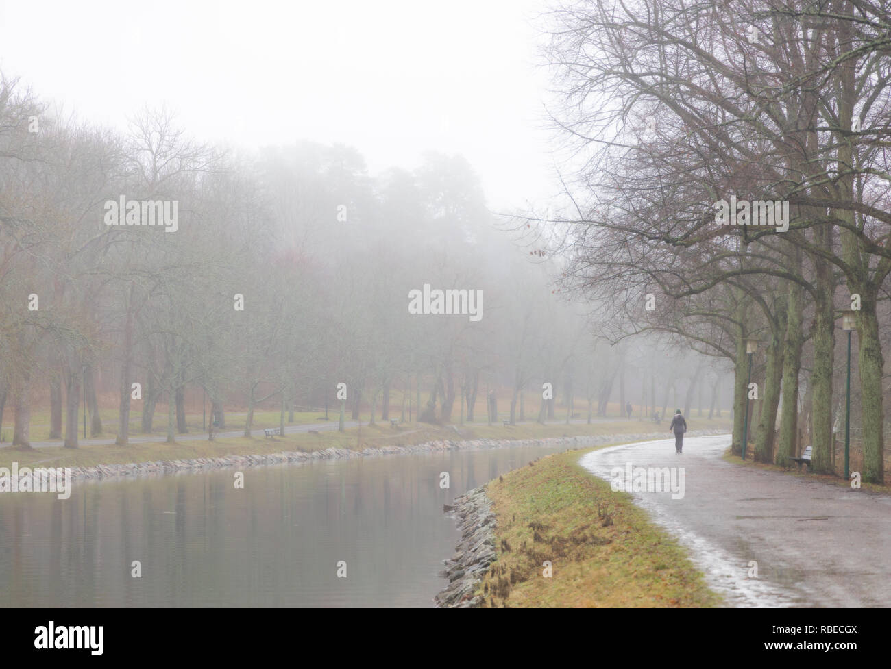 Canal bordé d'arbres sur une journée d'hiver brumeux et gris Banque D'Images