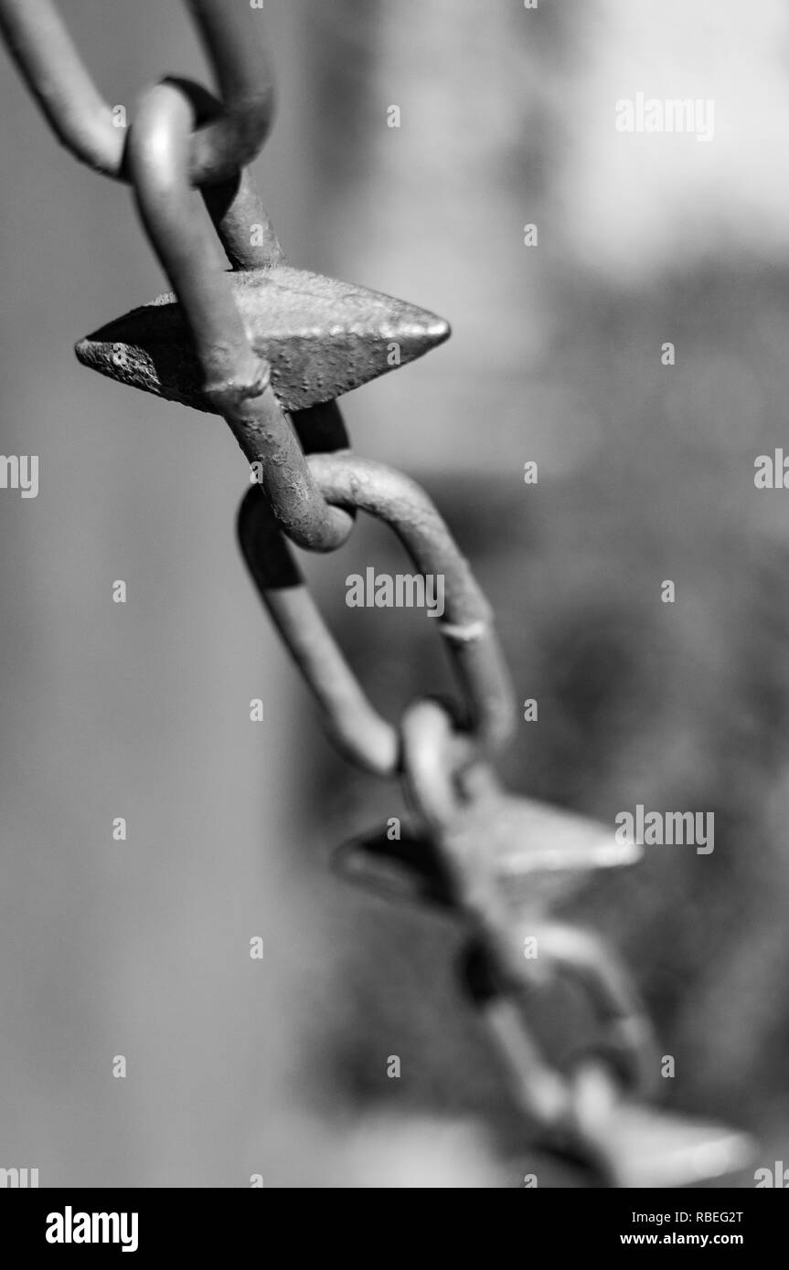 Une image en noir et blanc d'un gros plan d'une clôture en métal. Banque D'Images