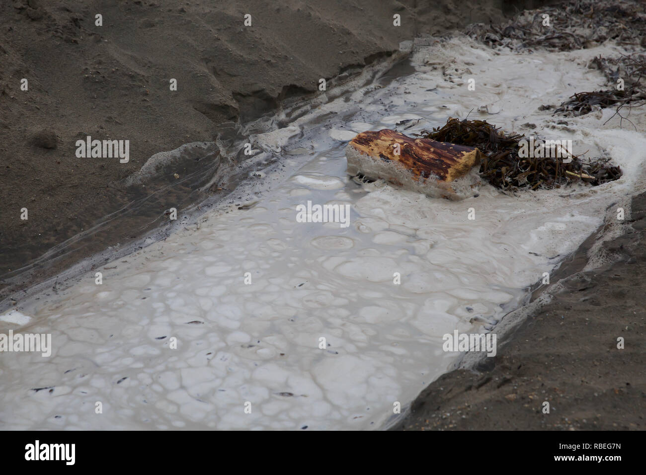 Le long de la Promenade à Santa Cruz, Californie,USA Banque D'Images