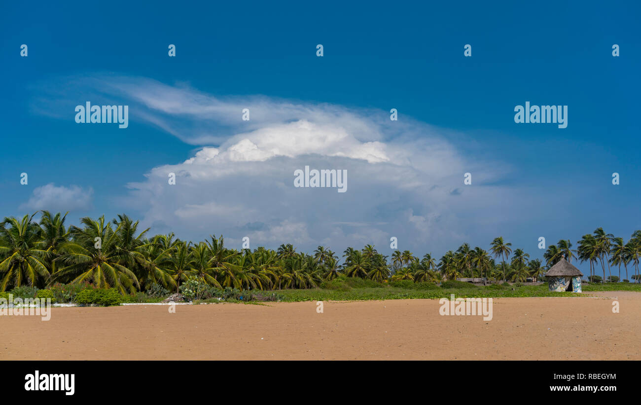 Palmiers au bord de la mer à Ouidah dans le golfe de Guinée. Atlantique Ministère, au Bénin. Banque D'Images
