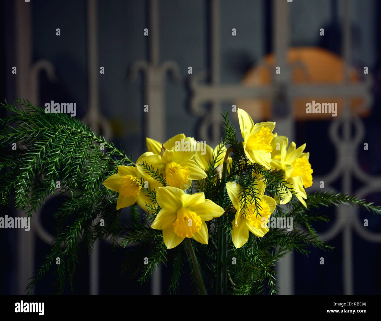Le narcisse jaune (Narcissus poeticus). Bouquet de fleurs jaune jonquille  printemps lumineux. Bouquet de jonquilles Photo Stock - Alamy