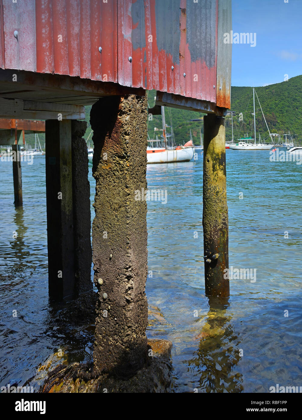 Tôle ondulée rouge voile dans la baie de Waikawa, Marlborough Sounds, Nouvelle-Zélande Banque D'Images