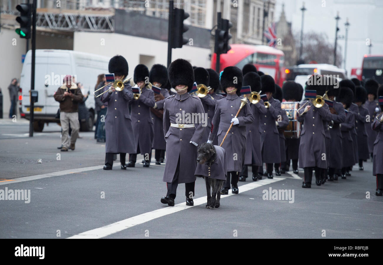 10 Downing Street, Londres, Royaume-Uni. 10 janvier, 2019. Le Premier ministre britannique Theresa peut accueille le Premier ministre Abe du Japon à des entretiens à Downing Street. La bande et sur la garde d'honneur de l'Irish Guards mars Retour à la caserne Wellington après la cérémonie de bienvenue au ministère des Affaires étrangères et du Commonwealth cour, dirigée par le mascotte régimentaire Donald Mormaer, saluant le cénotaphe comme ils passent. Credit : Malcolm Park/Alamy Live News. Banque D'Images