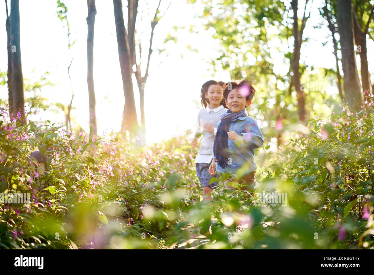 Deux petits enfants garçon et fille asiatique en champ de fleurs en parc. Banque D'Images
