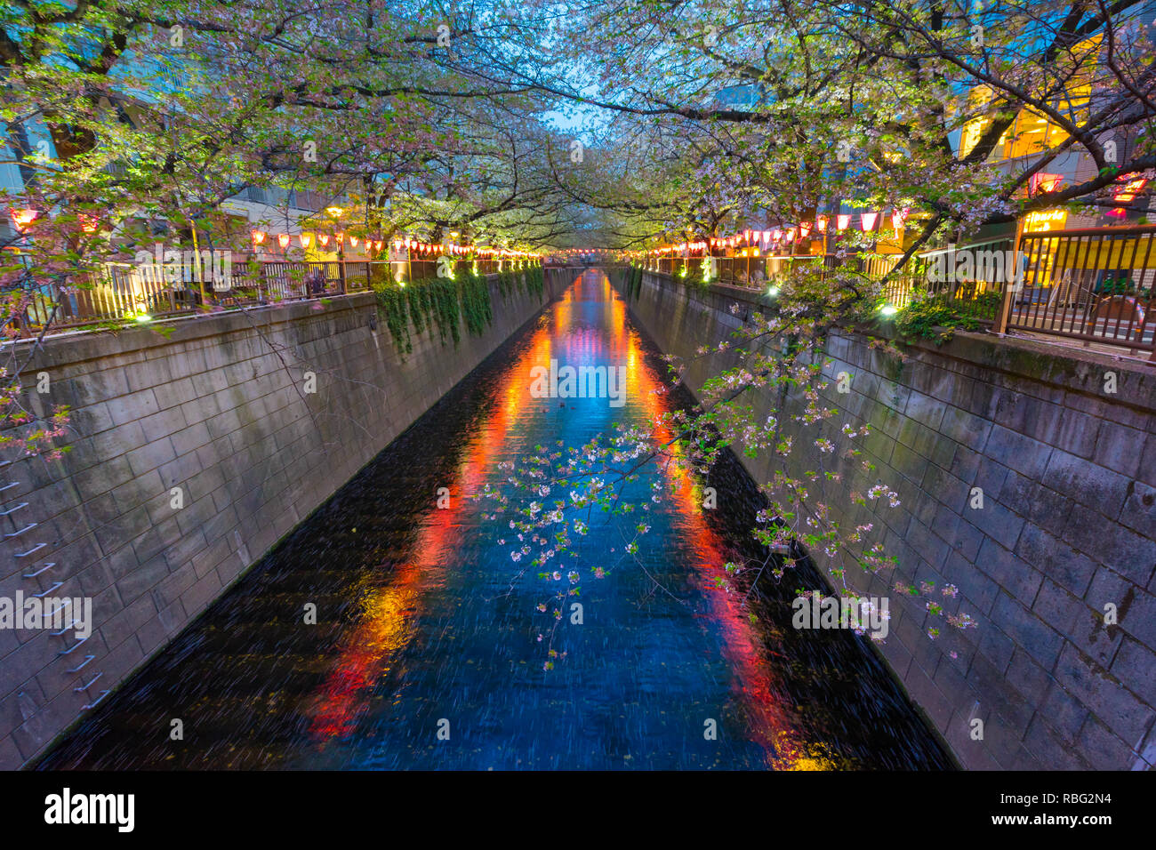 Rivière Meguro est célèbre cherry blossom spots.Les gens viennent à la rivière Meguro pour voir la belle fleur de cerisier. Banque D'Images