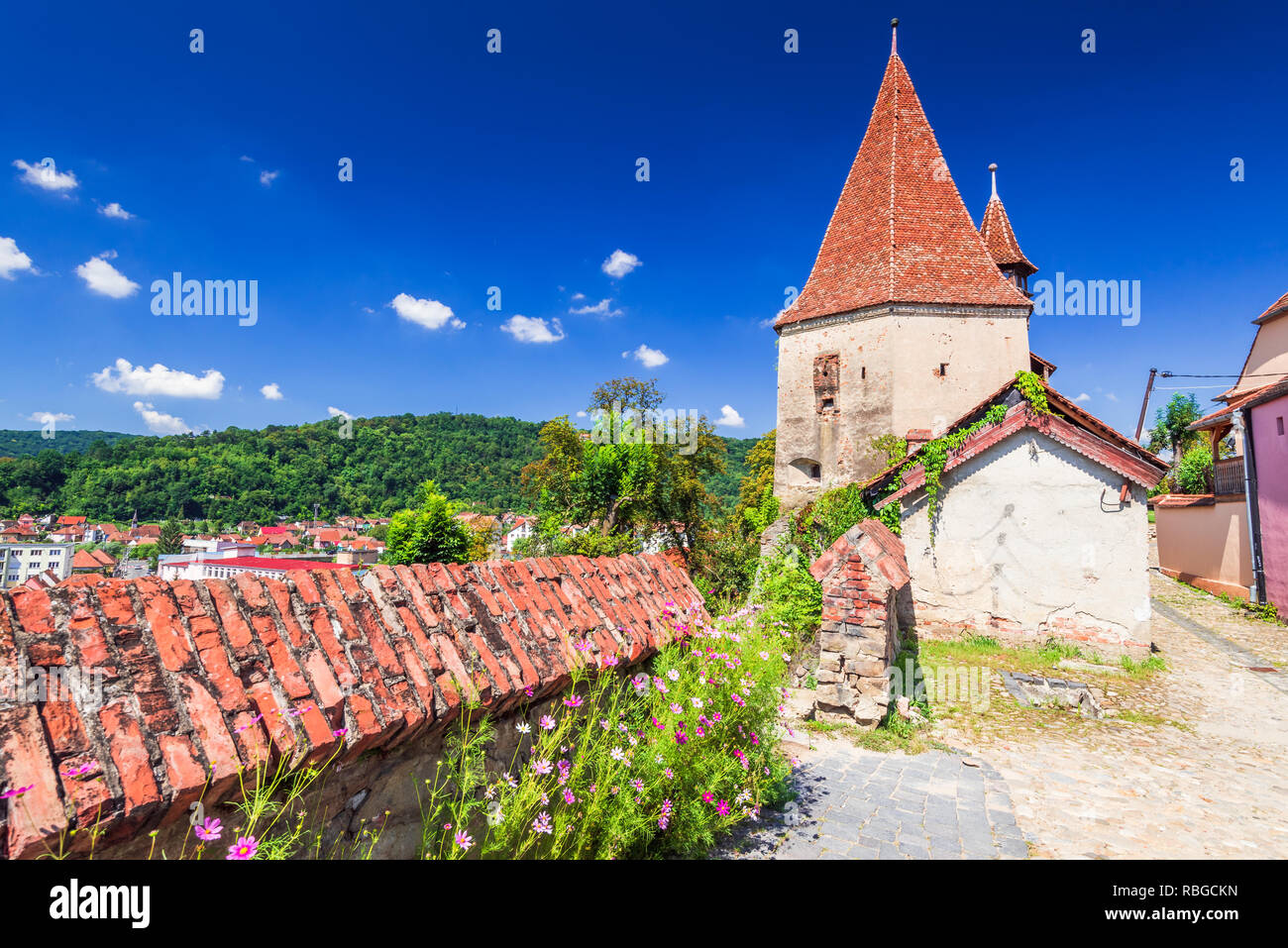 Sighisoara, la Transylvanie. Célèbre ville médiévale fortifiée construite par les Saxons de Roumanie. Banque D'Images