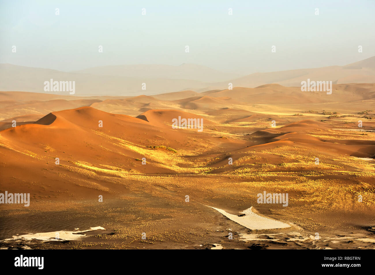 Sel Sossusvlei poêle avec des dunes de sable rouge dans le désert de Namib, Namibie, Afrique. Banque D'Images