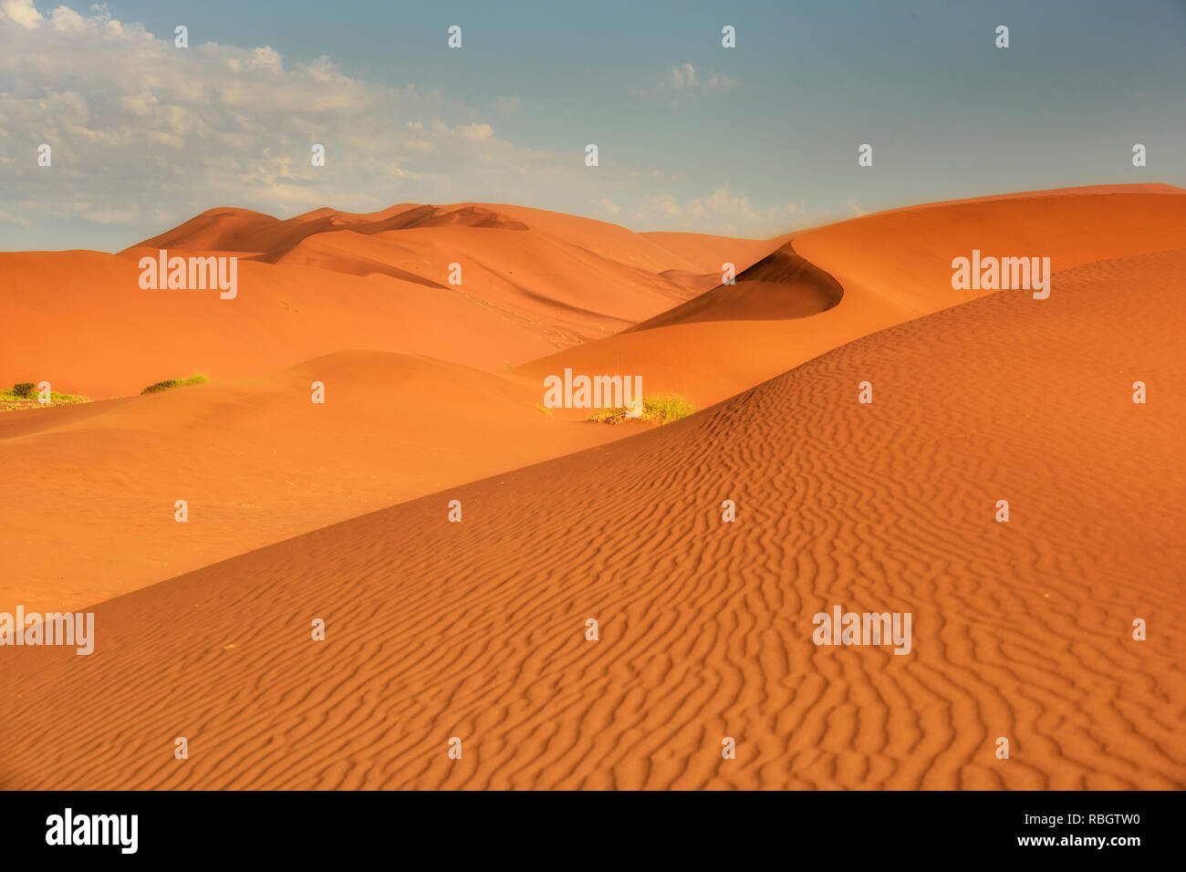 Sel Sossusvlei poêle avec des dunes de sable rouge dans le désert de Namib, Namibie, Afrique. Banque D'Images