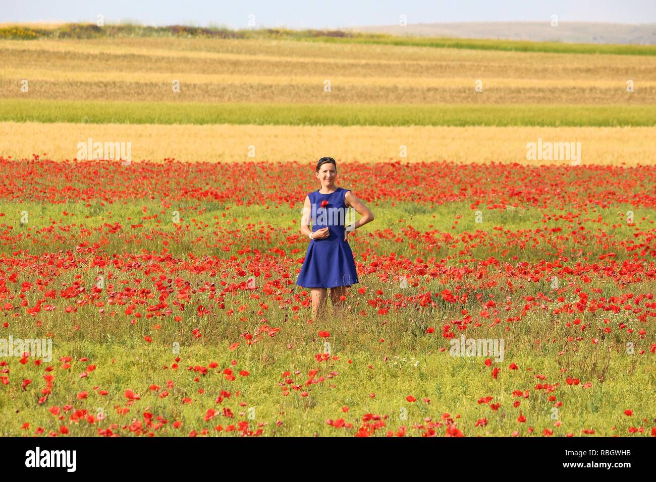 Femme en robe bleue visites campagne italienne - fin du printemps le temps des champs de pavot. Banque D'Images