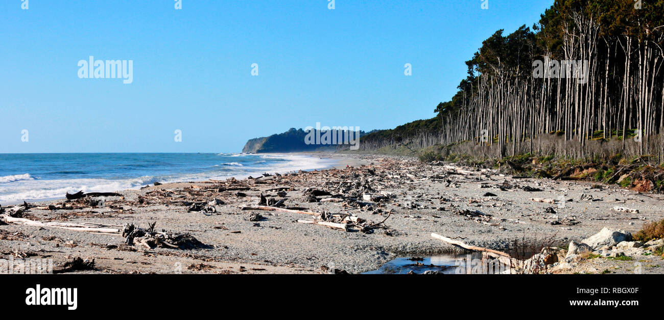 Autour de la Nouvelle Zélande - un panorama - Bruce balayé par Banque D'Images