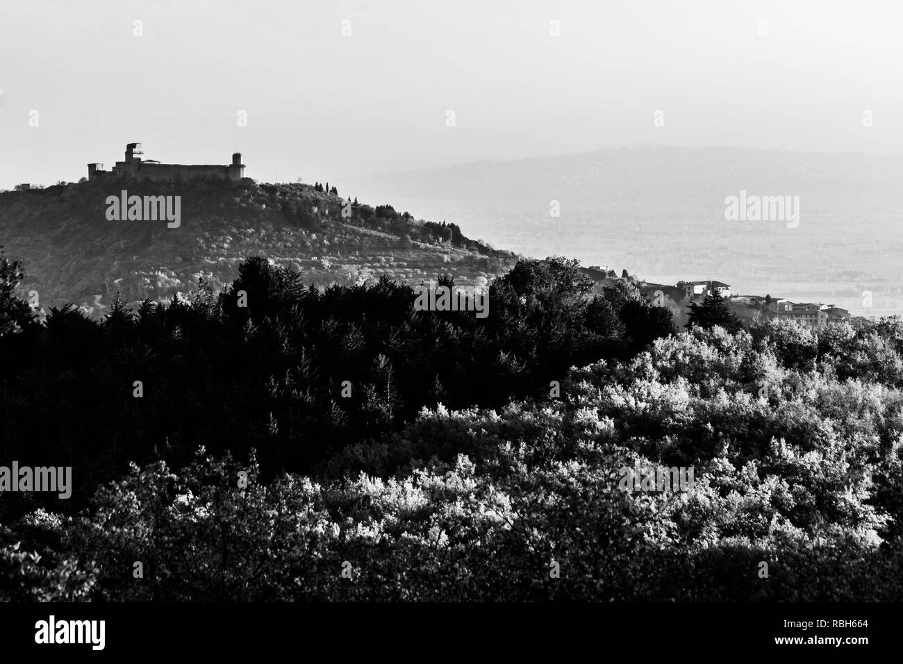 Belle vue sur la ville d'assise (Ombrie) à l'automne d'un lieu atypique, derrière une colline avec des arbres Banque D'Images