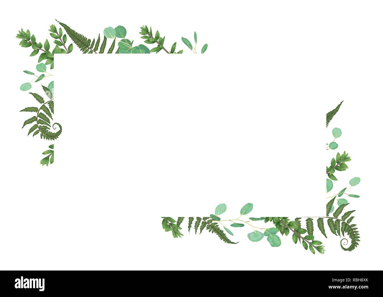 Carte vecteur floral design avec aquarelle vert, eucalyptus, fougères des forêts, des herbes, de l'eucalyptus, des branches de buis, Buxus, vert botanique, décoratives hori Illustration de Vecteur