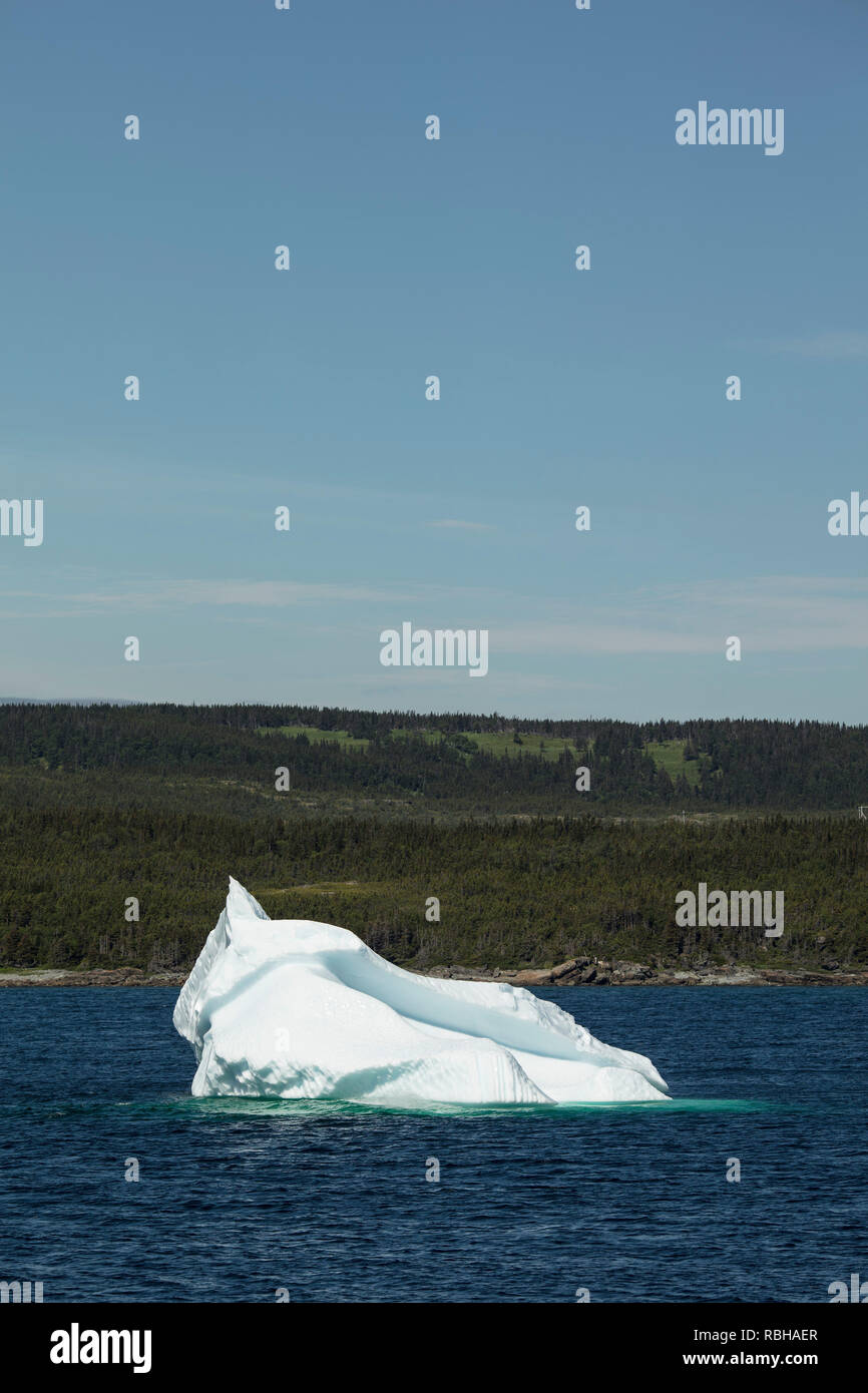 ST ANTHONY, Terre-Neuve, Canada - le 24 juillet 2018 : un iceberg à St Anthony Bight sur la mer du Labrador dans la zone nord de Terre-Neuve. Banque D'Images