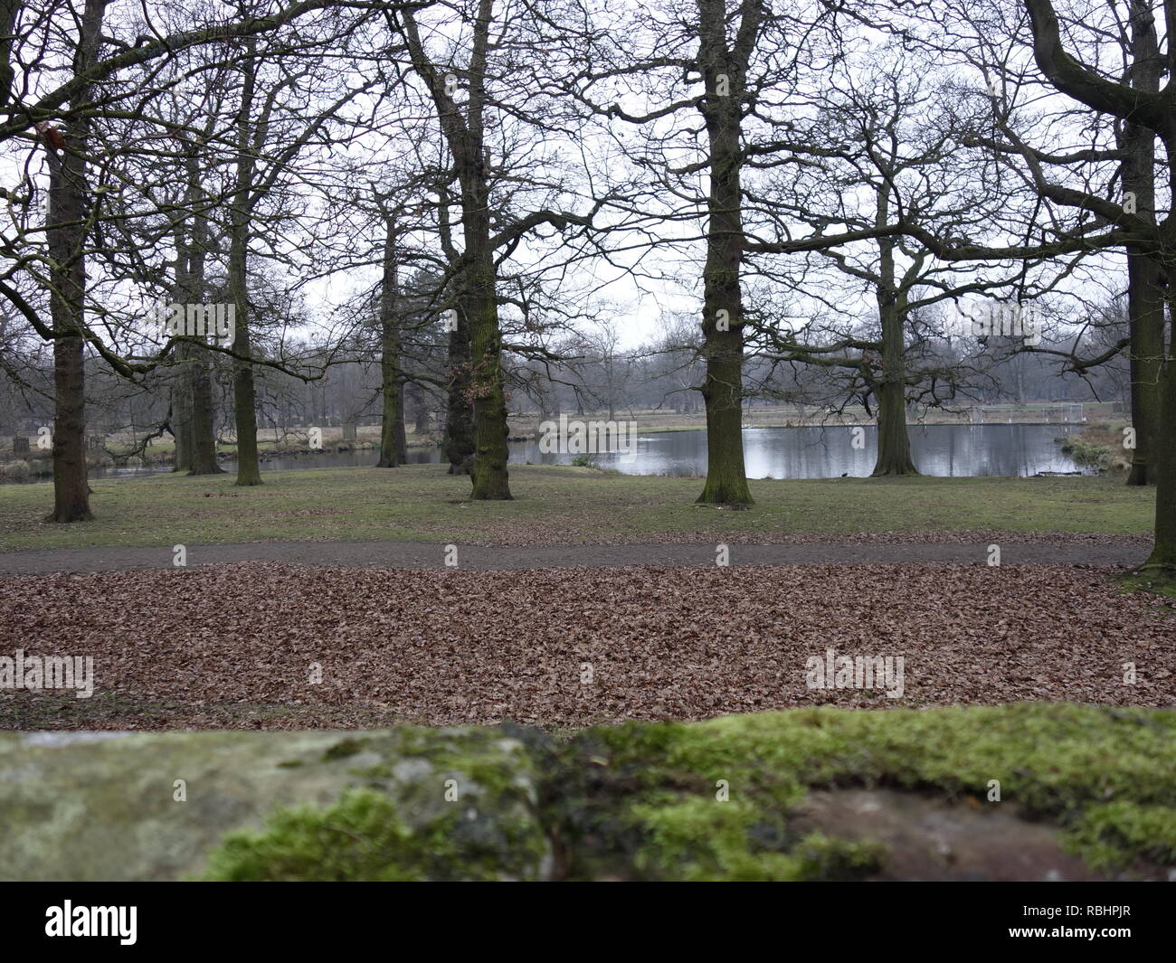Massey pond Banque de photographies et d’images à haute résolution Alamy
