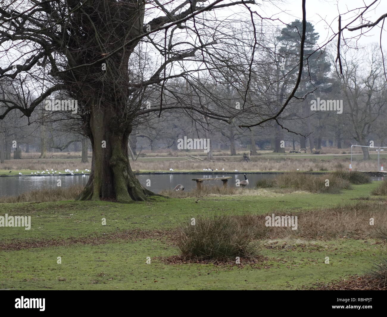 Photo de Dunham Massey Park Banque D'Images