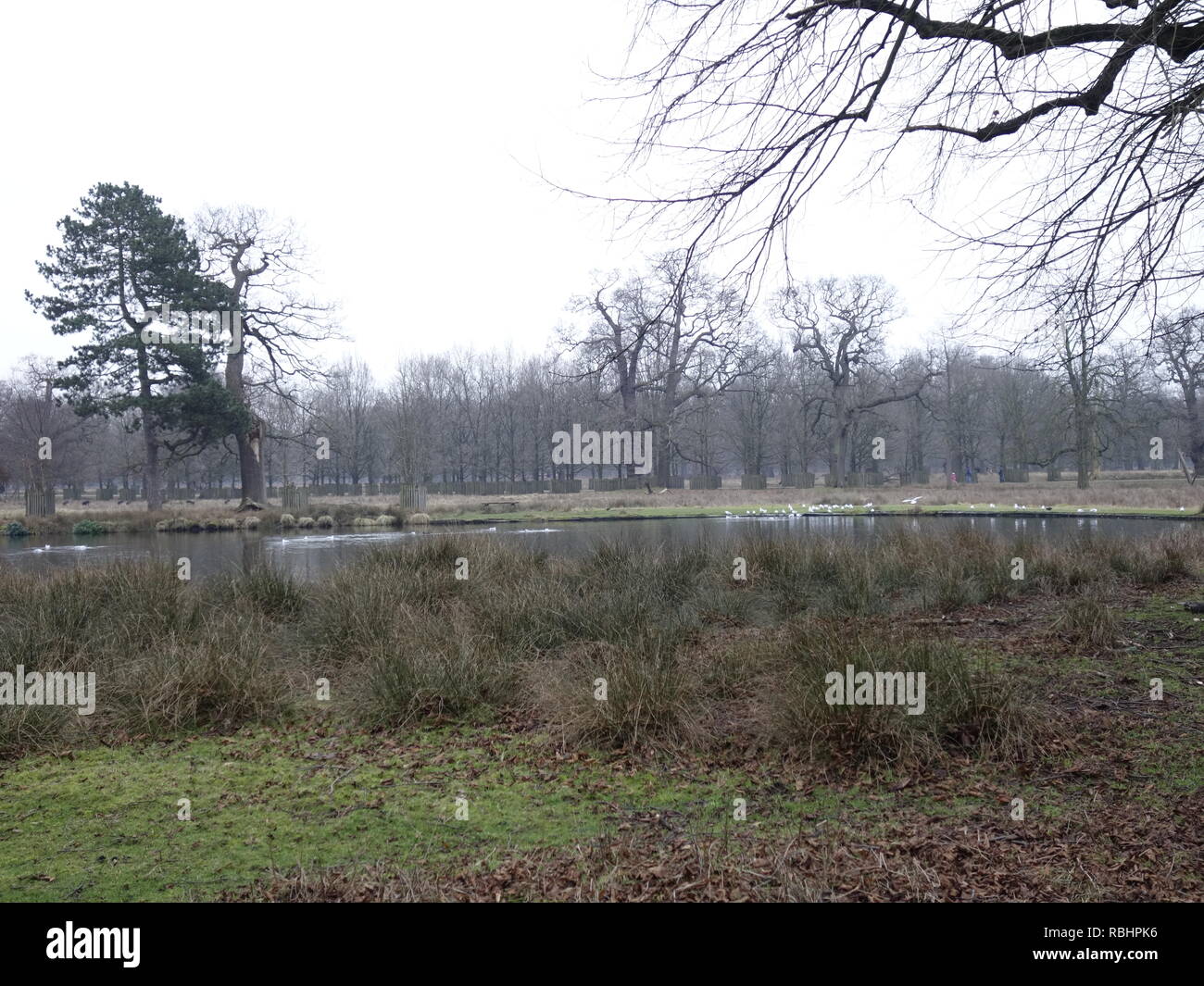 Photo de Dunham Massey Park Banque D'Images