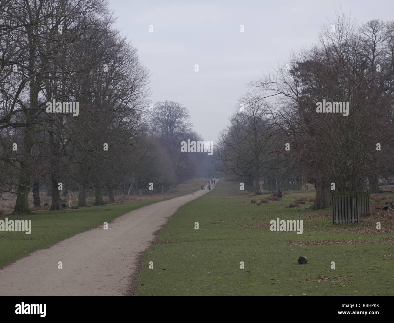 Photo de Dunham Massey Park Banque D'Images