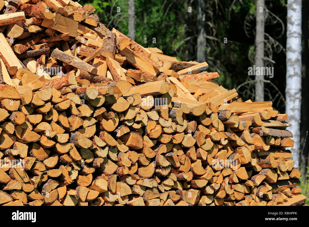 Hachés, coupés en deux et soigneusement empilés bois stocké à la lisière de forêt dans l'été. Banque D'Images