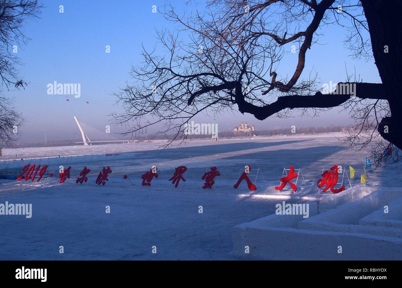 Harbin, Chine. 10 janvier, 2019. Les bonshommes réalisés par les étudiants des universités peut être vu à Dalin Park à Harbin, au nord-est de la province de la Chine. Credit : Asie/Pacifique SIPA Press/Alamy Live News Banque D'Images