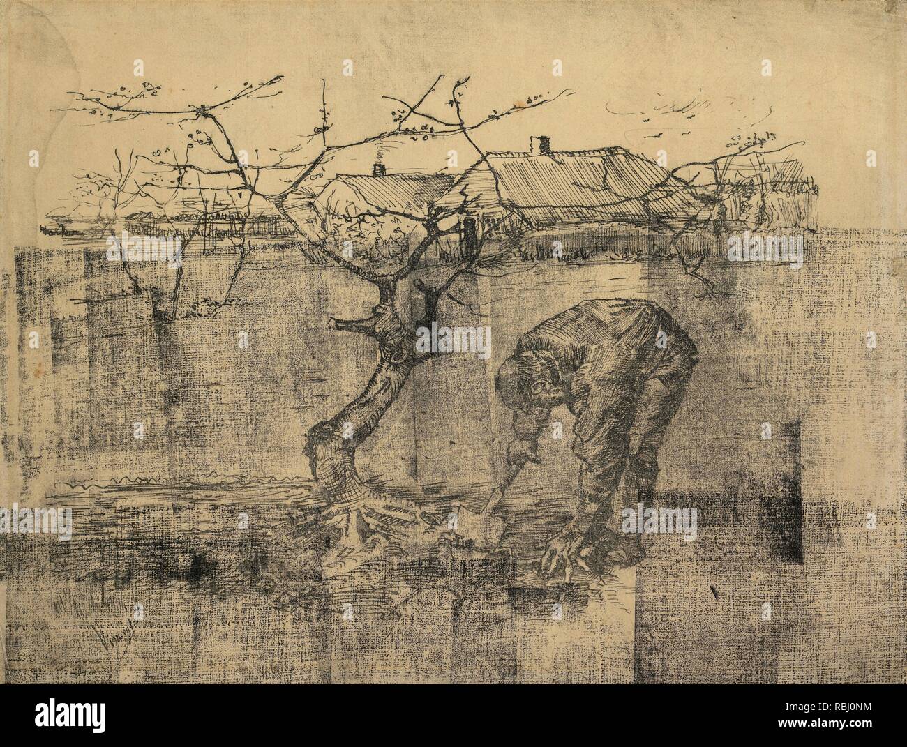 Chauffeur particulier par un pommier. Date : juillet 1883, La Haye. Dimensions : 24,7 cm x 32,6 cm. Musée : Musée Van Gogh, Amsterdam. Auteur : VAN GOGH, Vincent. VINCENT VAN GOGH. Banque D'Images