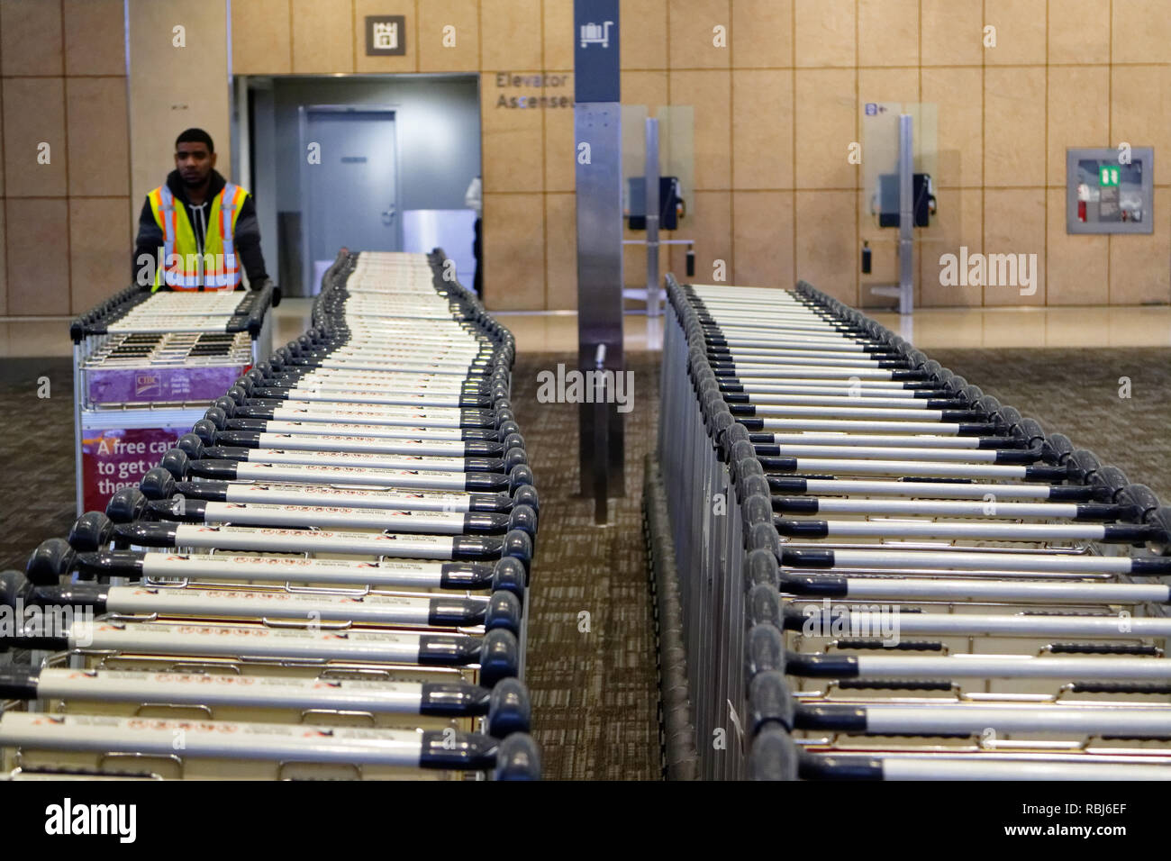 Un employé de l'aéroport parking chariots à bagages à l'aéroport de Toronto Peasron Banque D'Images