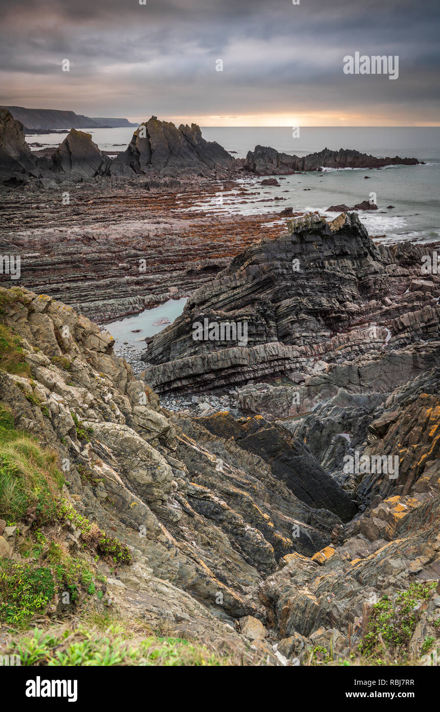 Les spectaculaires falaises de Hartland Quay, célèbre pour les contrebandiers, les épaves et les couches de roches déformées, se trouvent le long d'une partie de la côte sud-ouest Banque D'Images