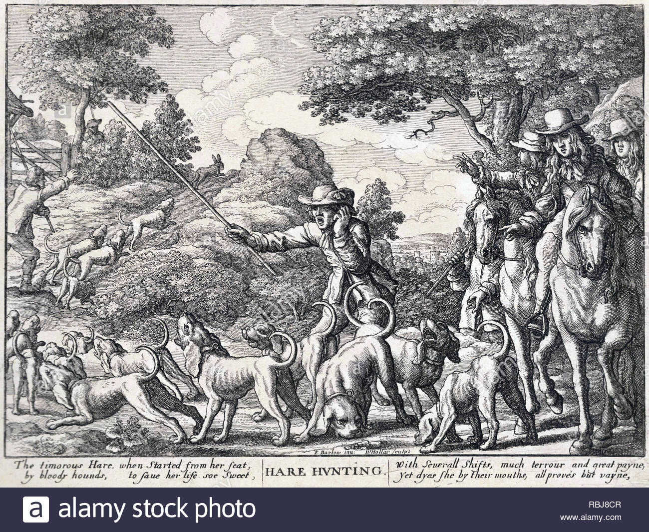 La chasse au lièvre, gravure par Wenceslaus Hollar aquafortiste bohème à partir de 1600 Banque D'Images