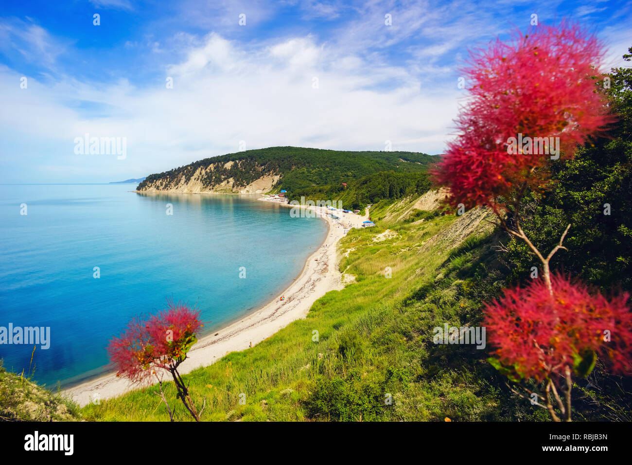 Belle vue sur la mer d'une hauteur, avec des fleurs. La Russie , l'INAL Bukhta. Banque D'Images