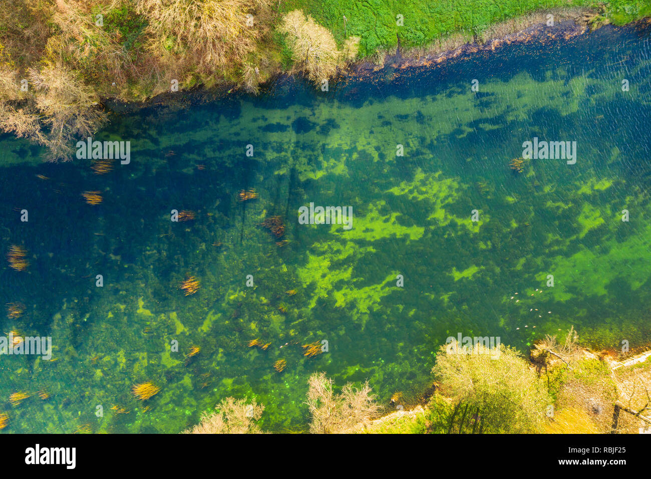 La Croatie, Dobra, l'air de haut en bas vue du drone, Karlovac county, surface verte d'eau claire à l'automne, belle nature Banque D'Images