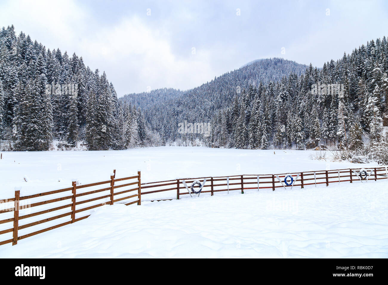 Lacu Rosu en Harghita, Roumanie, sous la neige sur journée d'hiver. Journée d'hiver sur le lac rouge, Roumanie Banque D'Images
