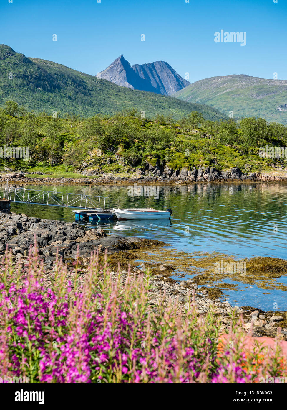 Stønnesbotn Fjordbotn fjord, vue du camping de montagne, petit bateau de pêche, Senja, Troms, Norvège Banque D'Images