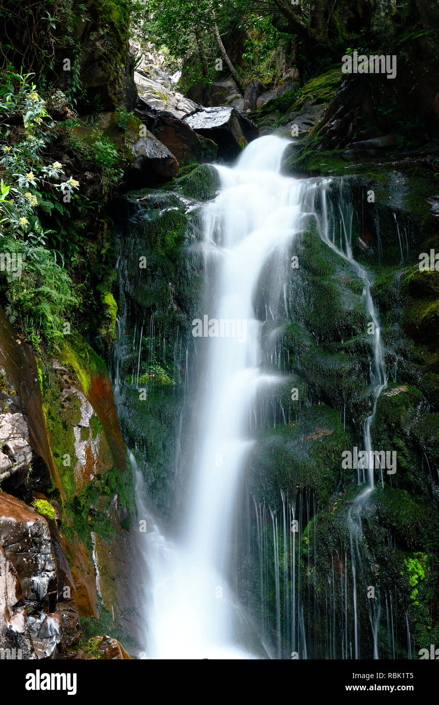 Chute d'eau à l'intérieur d'un ravin dans les montagnes de Huancayo, un endroit de la nature et de la tranquillité Banque D'Images