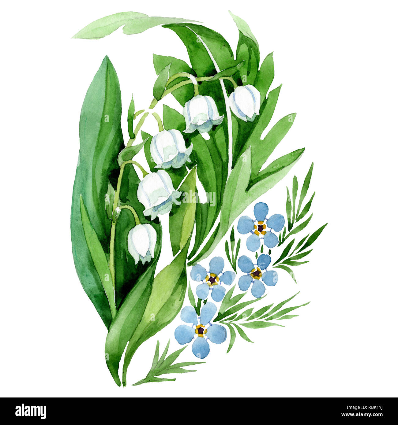 Le muguet bouquet fleur. Contexte aquarelle illustration set. M'oubliez pas  isolés de l'élément d'illustration Photo Stock - Alamy