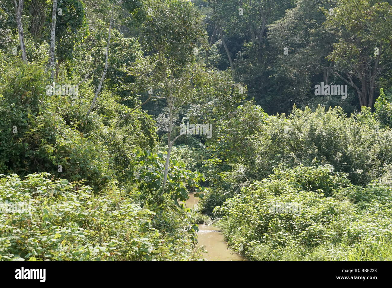 Le Parc national Queen Elizabeth, en Ouganda Banque D'Images