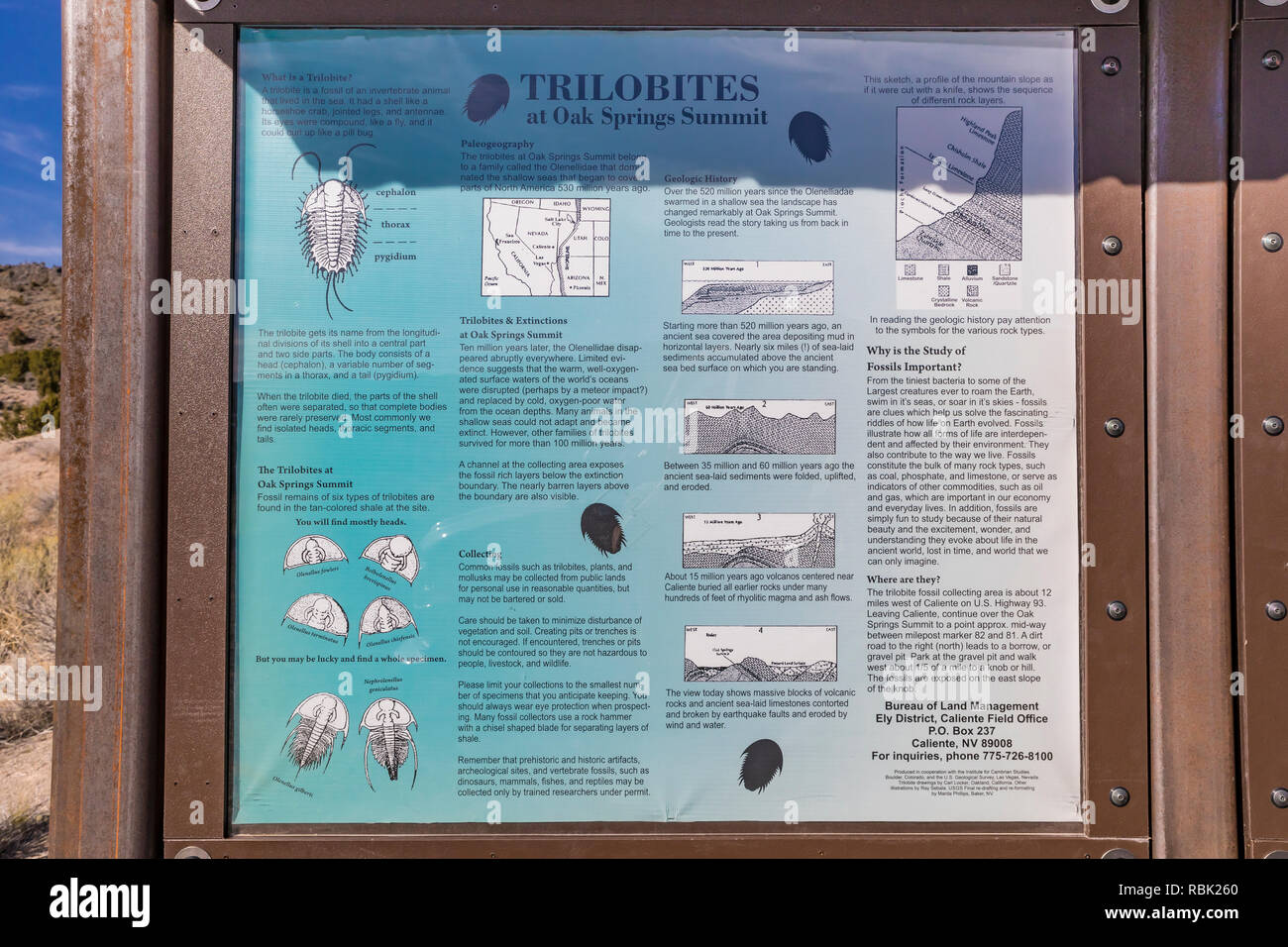 Panneau d'interprétation à l'Oak Springs zone de collecte de fossiles de trilobites du sommet, sur les terres BLM le long de la route 93 au Nevada, USA Banque D'Images