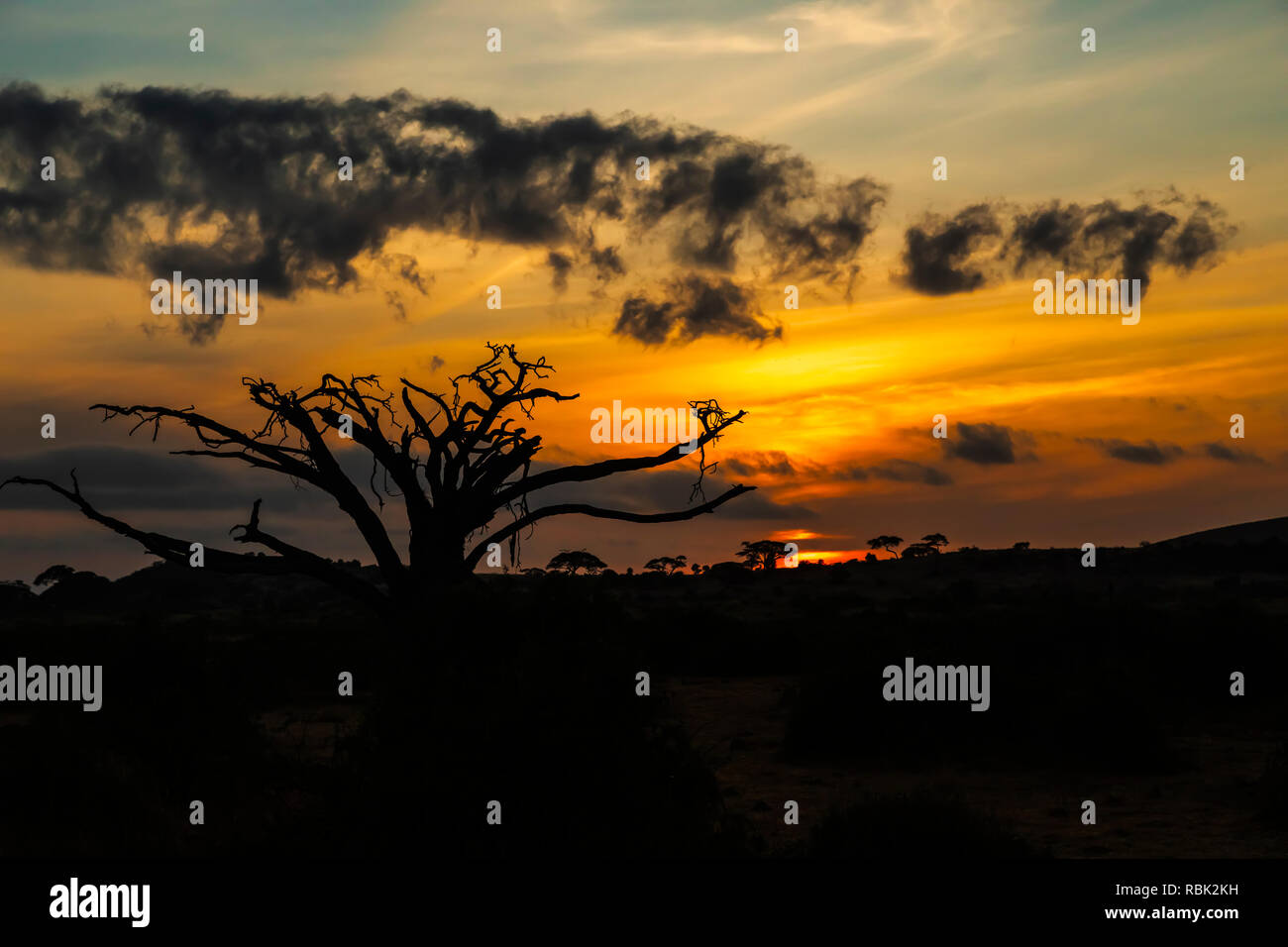 Le lever du soleil sur le Parc national Amboseli, Kenya Banque D'Images