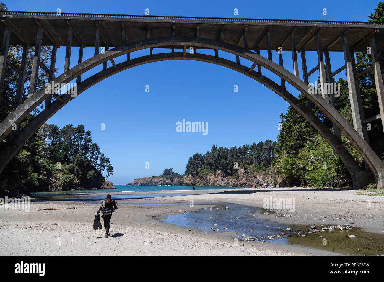 Un plongeur revient d'une plongée à Fédération Gulch State Park dans le comté de Mendocino, en Californie. Banque D'Images