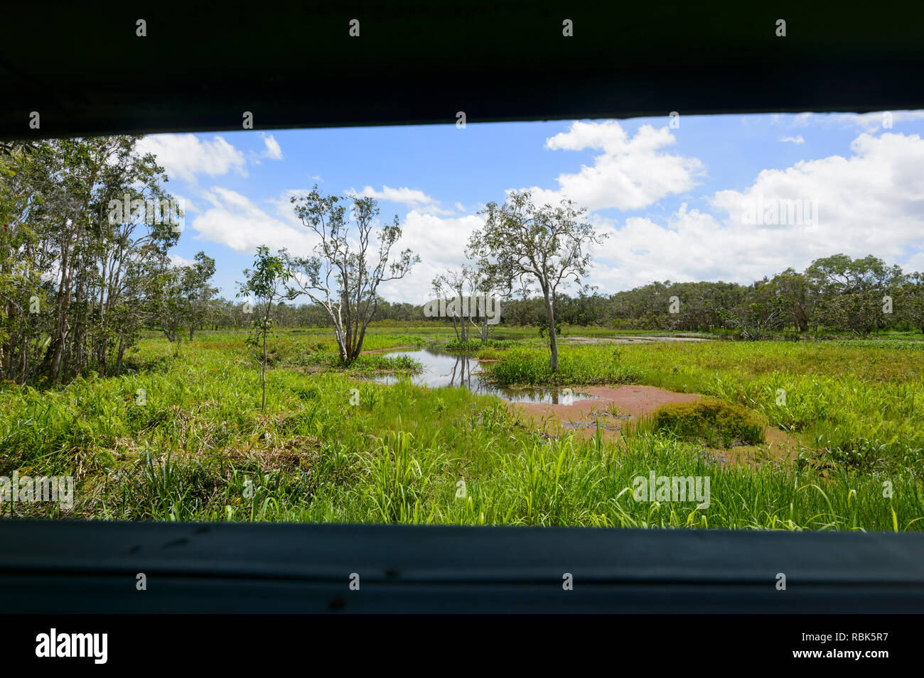 Vue sur le marais de l'oiseau en abattoir cacher, Atherton, Far North Queensland, Queensland, Australie, FNQ Banque D'Images