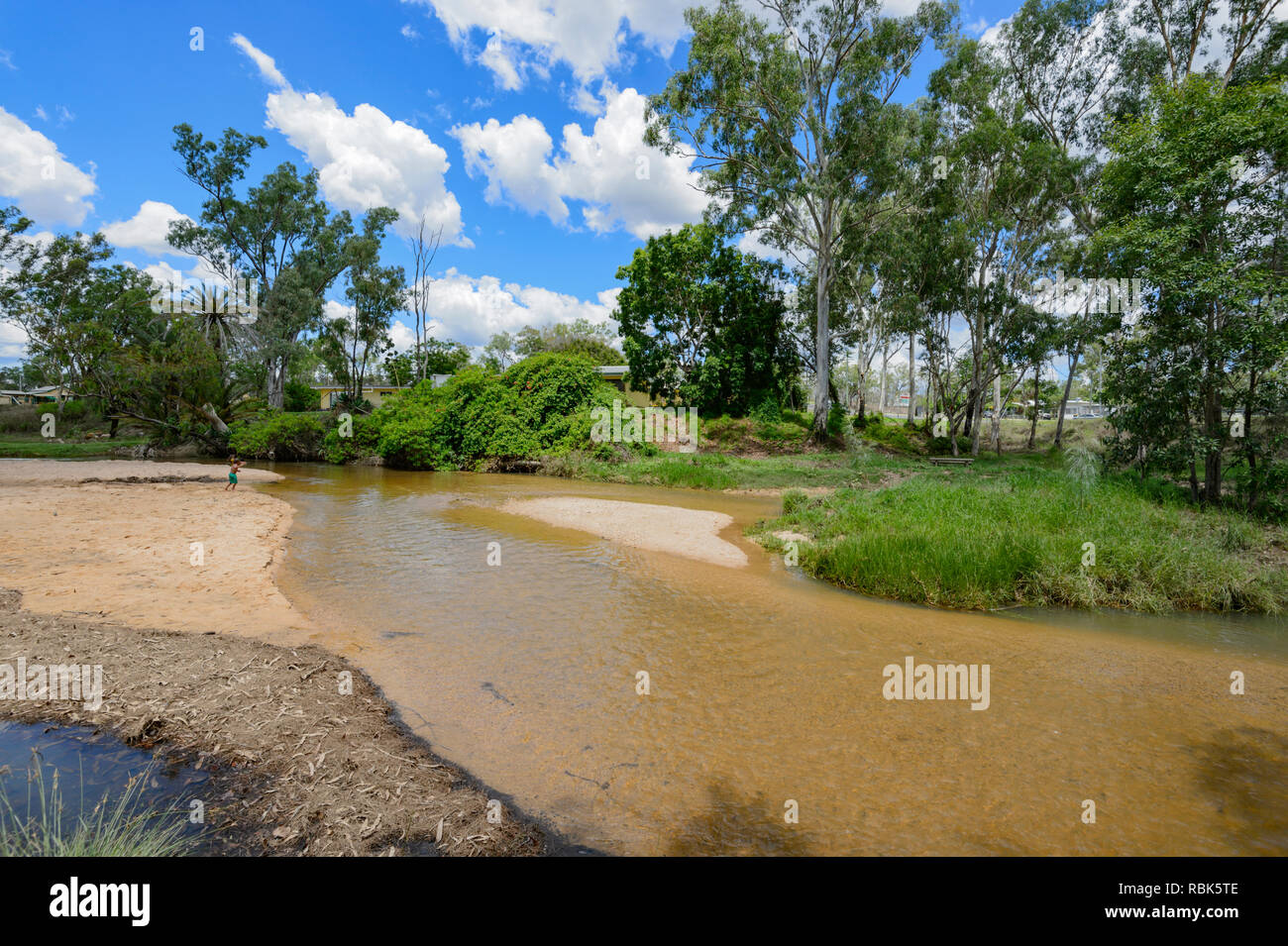 Minéral naturel de l'eau chaude qui coule dans le ruisseau d'Ortie, Innot Hot Springs, une destination populaire, Atherton Tablelands, Far North Queensland, FNQ, Queensland, Australie Banque D'Images